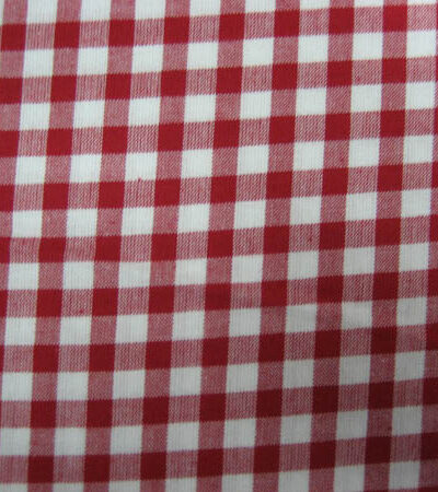 Gingham - Large Red Check